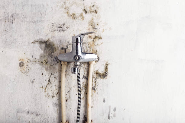 Home Mold Removal in Manhattan, KS