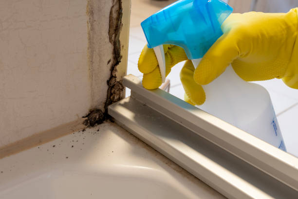 Certified Mold Removal in Manhattan, KS